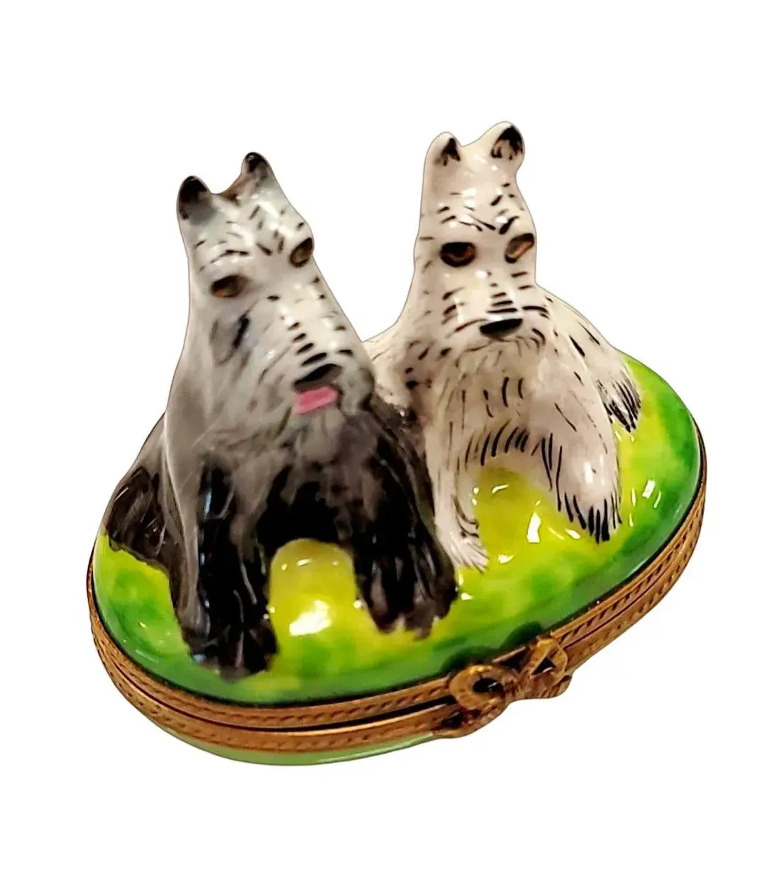 Salt & Pepper Schnauzers